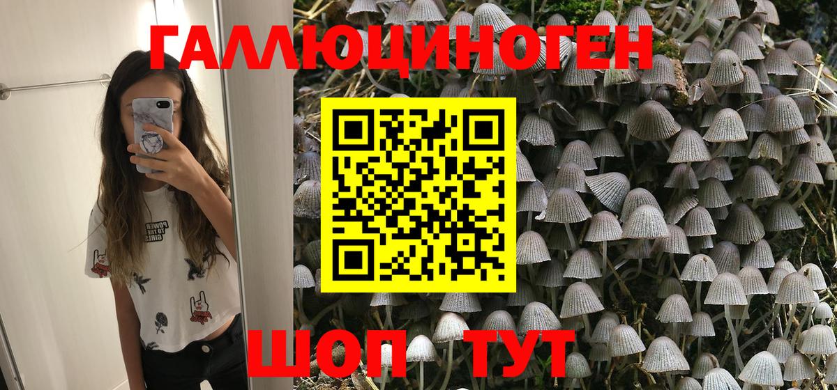 Галлюциногенные грибы Psilocybe Йошкар-Ола