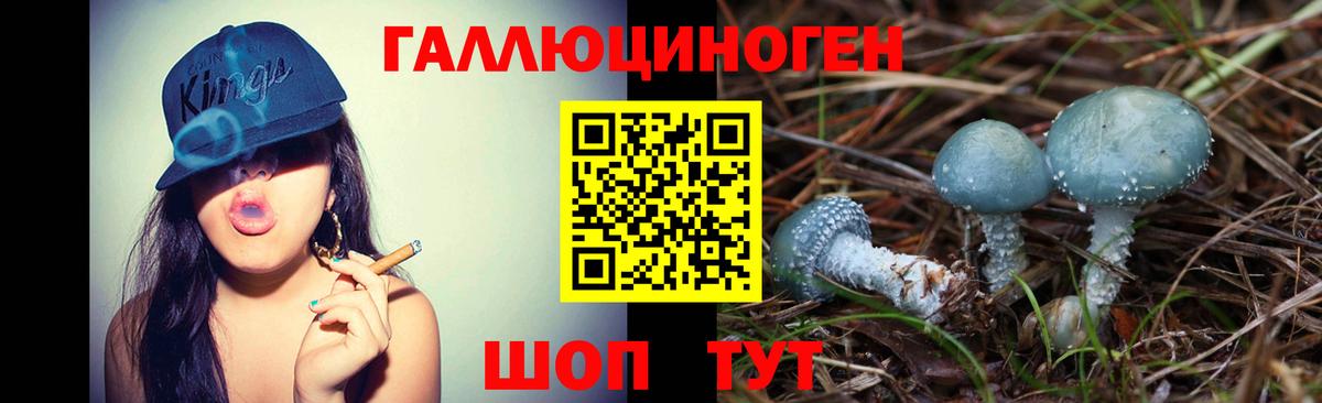 Йошкар-Ола  наркота  Вход с VPN  Псилоцибиновые грибы MAGIC MUSHROOMS 